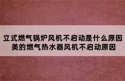 立式燃气锅炉风机不启动是什么原因 美的燃气热水器风机不启动原因